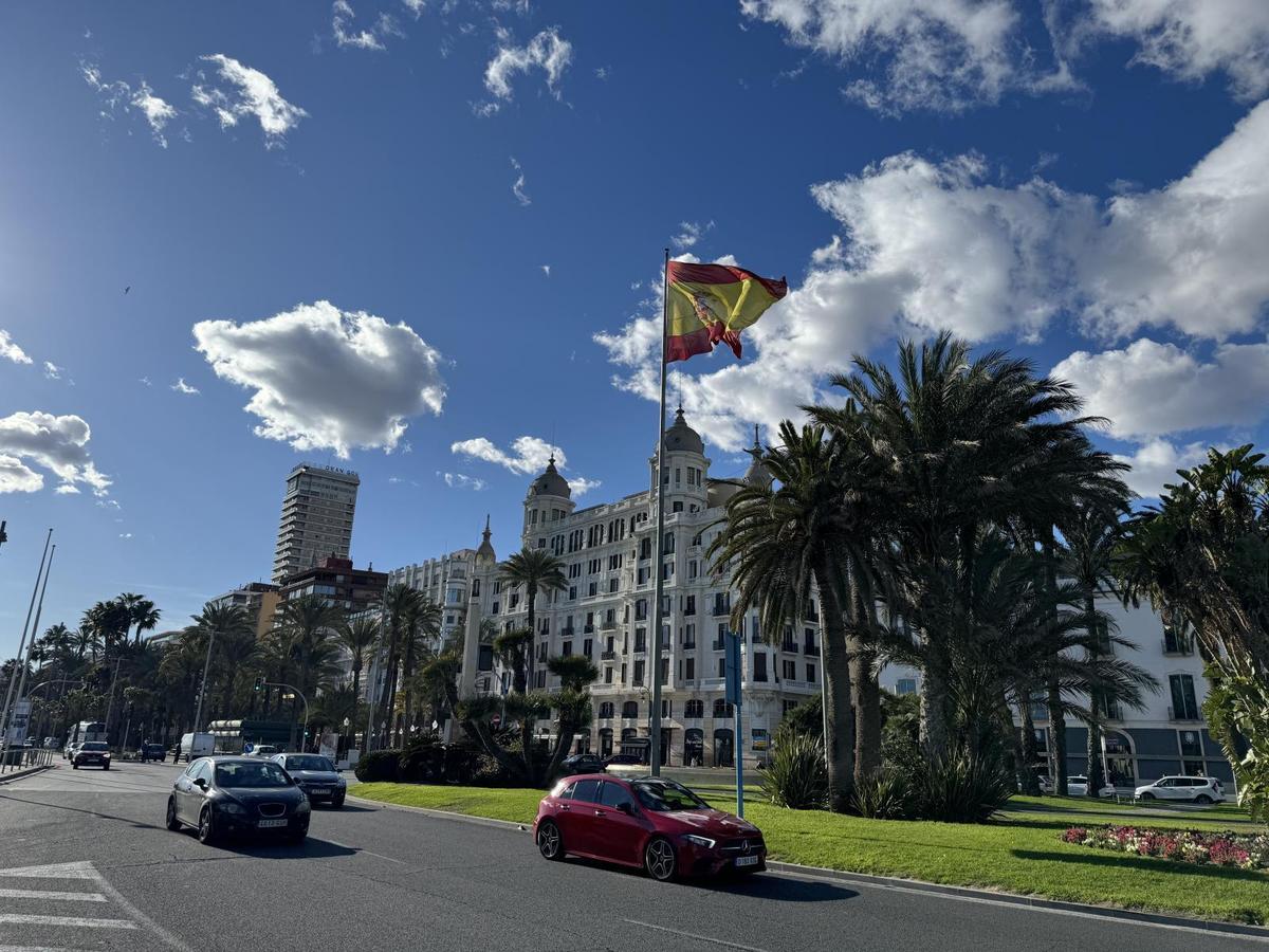 Puro Alicante 13